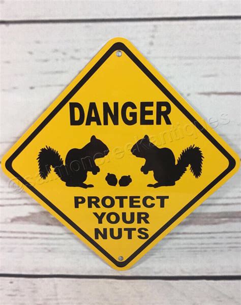 Danger Protect Your Nuts Funny Squirrel Mini Metal Yellow Etsy