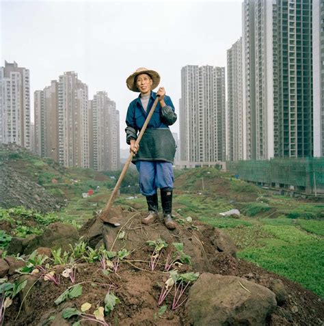 Metamorpolis Urban Rise By Tim Franco Urban Farming Chongqing City