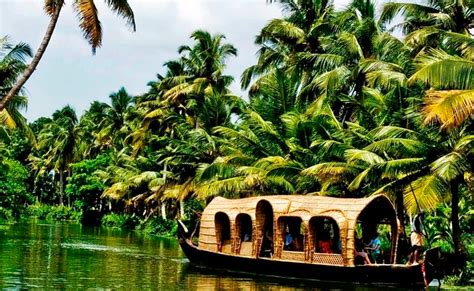 Best Things To Do In Kerala India
