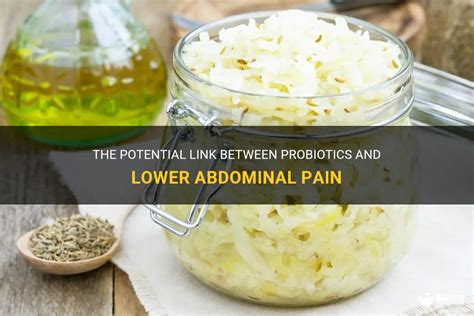 The Potential Link Between Probiotics And Lower Abdominal Pain Medshun