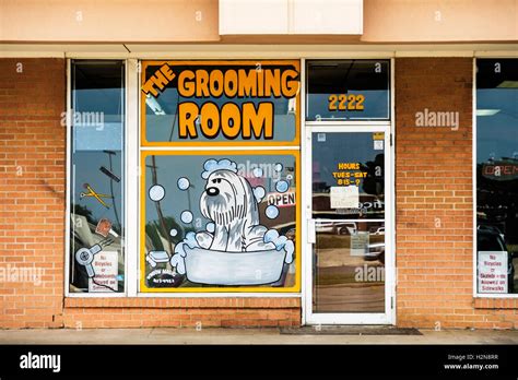 Pet Grooming High Resolution Stock