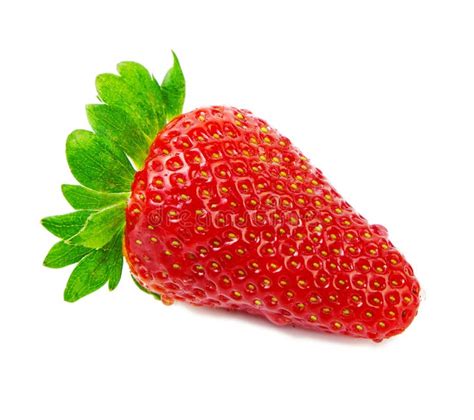 Strawberry Stock Photo Image Of Edible Product Nutrient 14248750