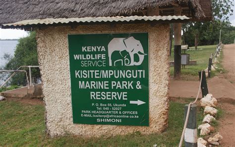 6 Things To Do At Kisite Mpunguti Marine Park Kenya Geographic
