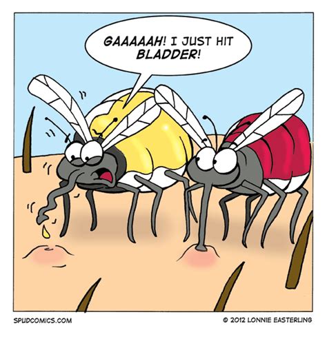 mosquito mistake funny mosquito cartoon jokes funny puns