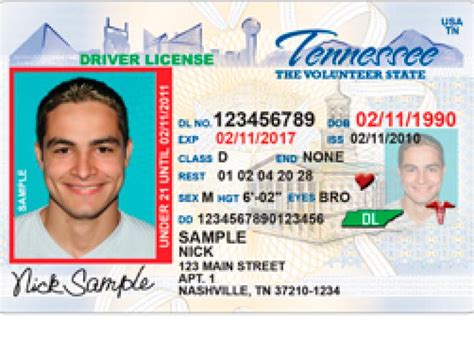 Tennessee Sex Offender Drivers License Bill Rep Matthew Hill Wants To Add Scarlet Letters To
