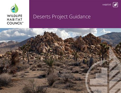 Deserts Project Guidance