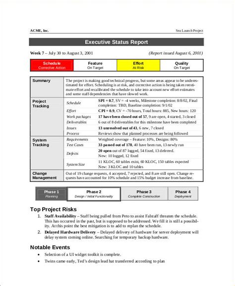 Free 9 Status Report Examples In Pdf Examples