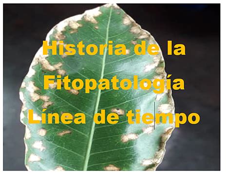 Historia De La Fitopatologia Timeline Timetoast Timelines