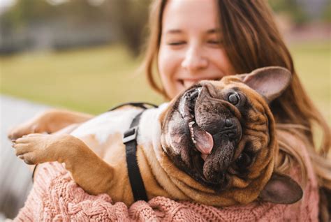 10 Ways To Form A Closer Bond With Your Dog