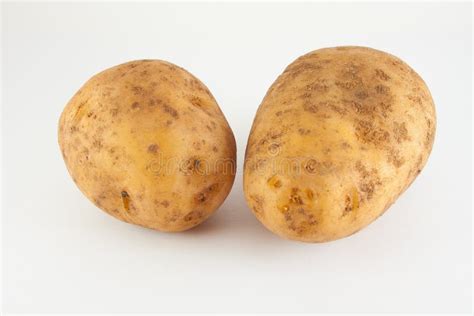 Potato Tuber 2 Pieces Unrefined Stock Photo Image Of White Healthy