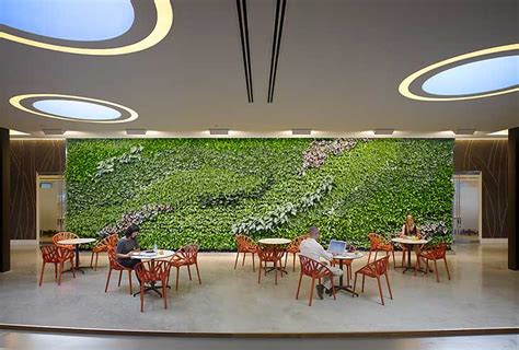Biophilic Design In Hospitality Why Nature Matters Hospital