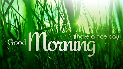 Discover thousands of premium vectors available in ai and eps formats. 20+ Good Morning Images HD and Wallpapers