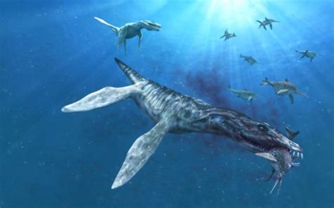 10 Terrifying Titans That Lived In Our Prehistoric Oceans