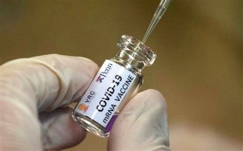 Con relación de los decesos a causa del coronavirus, indicó que hasta la fecha suman 8 mil 197 casos, de los cuales 3 mil 670 fueron en tijuana. La vacuna contra Covid-19 estaría disponible en México ...