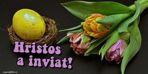 Discover and share the best gifs on tenor. Hristos a Inviat! Paste fericit! - GIF animat de Paste ...