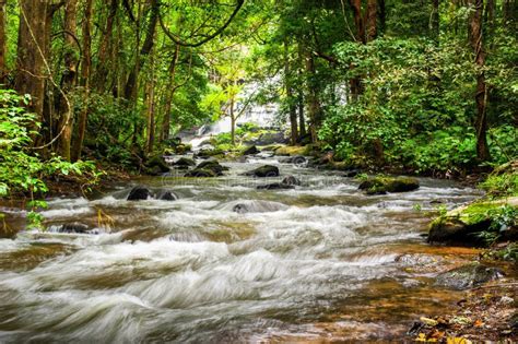 Tropical Rainforest Landscape With Flowing River Thailand Stock Image
