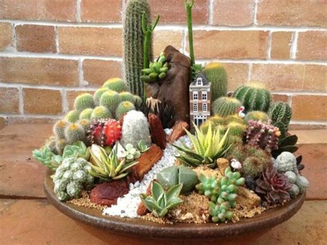Small Cactus Garden Is A Genius Way Of Organizing Your Cacti Virily