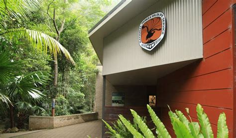 Minnamurra Rainforest Centre And Lyrebird Cafe Budderoo National Park