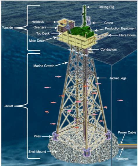Rigs To Reefs The Sub Surface Story Of Oil Platform Decommissioning