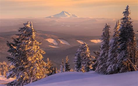 Landscape Nature Winter Snow Drifts Sunset Spruce Christmas Tree Forest Views Mountain Horizon