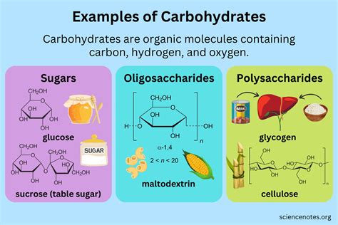 Examples Of Carbohydrates In 2023 Carbohydrates Chemical Energy