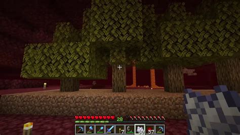 How To Grow Trees In The Nether Guide Minecraft Youtube