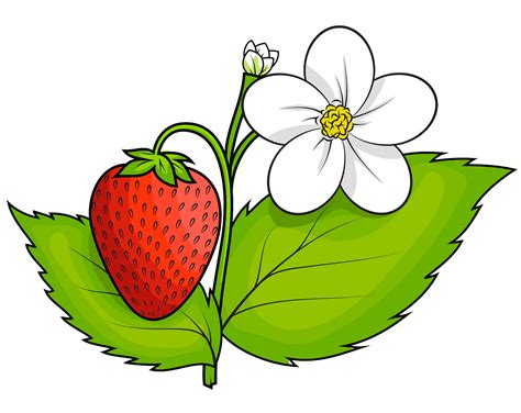 Strawberry Stem Clipart 10 Free Cliparts Download Images On