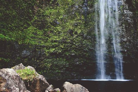 Free Images Nature Forest Rock Waterfall Stream Green Jungle