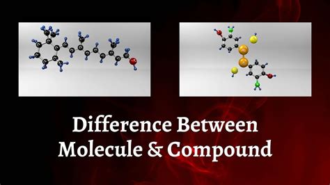 Difference Between Molecule And Compound The Chemistry Of Everyday