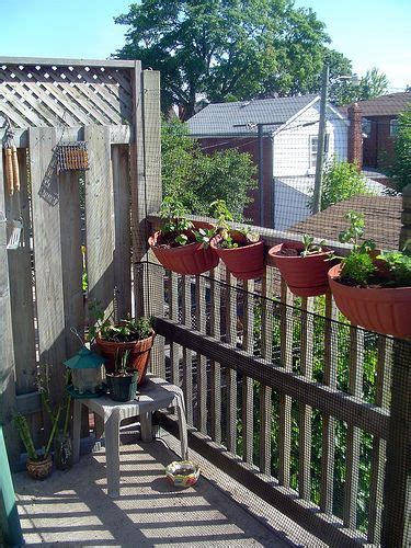 An Apartment Balcony Is A Great Place For An Herb Garden Herbs Will