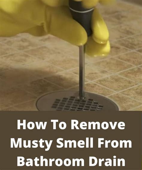 How To Remove Musty Smell From Bathroom Drain Bathroom Drain