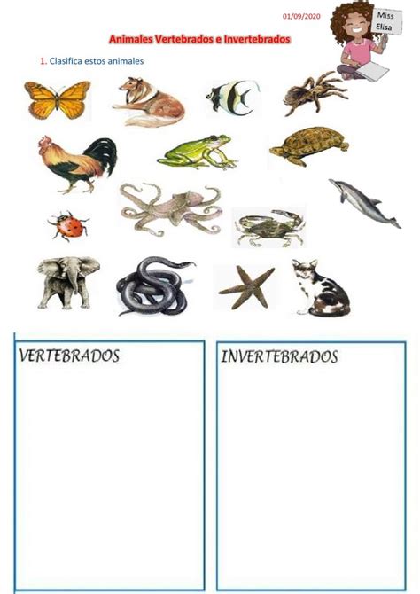 Ficha Online De Animales Vertebrados E Invertebrados Para Primero De