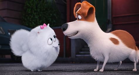 Wallpaper The Secret Life Of Pets Dog Best Animation Movies Of 2016