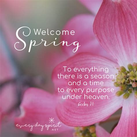 Happy Spring May Your Soul Bloom Xo Every Day Spirit A Daybook Of