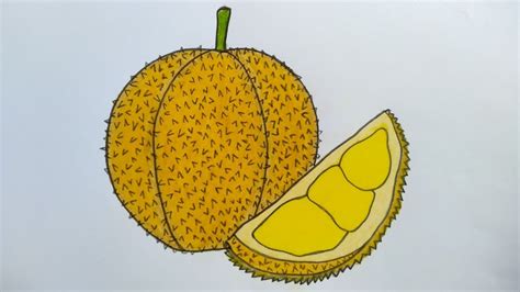 Sketsa Pohon Durian