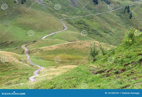 Curvy Mountain Road Crossing The Alps Stock Image Image Of Diagonal