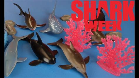 Shark Week Animal Planet Ocean Collection Youtube