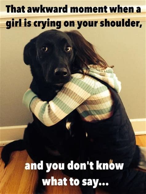 25 Pics Funny Dog Memes To Cheer You Up On A Bad Day Lovely Animals