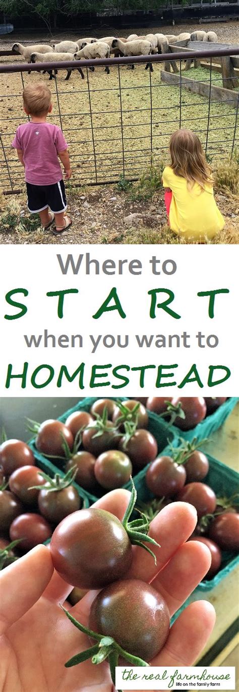 17 Best Images About Homesteading Ideas On Pinterest Water Well