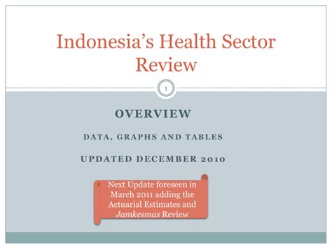 the indonesian health system