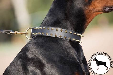 Unveiled Luxury Spiked Leather Doberman Dog 【collar】 Doberman Breed