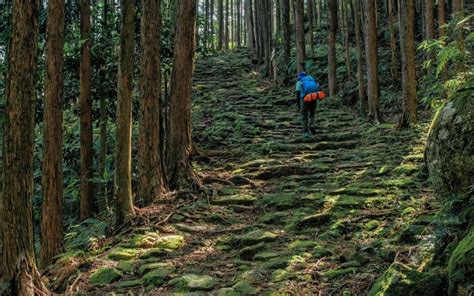 A Guide To Hiking The Kumano Kodo Gaijinpot Travel