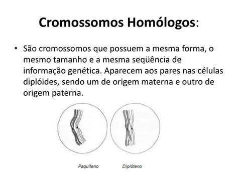 O Gene Que Só Se Expressa Quando Em Dose Dupla