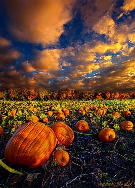 Found On Bing From Nature Landscape Fall Pictures