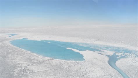 Algae Are Melting Ice In Greenland Threatening To Raise Sea Levels