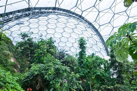 Eden Project Inside The Tropical Biome Stock Image Image Of Indoor