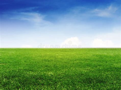 6413 Green Grass Under Blue Clear Sky Stock Photos Free And Royalty