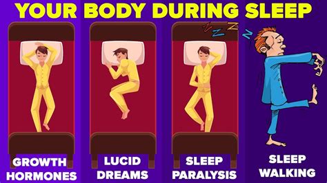 Things That Happen To Your Body While Youre Asleep Youtube