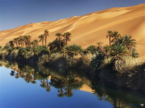 Desert Oasis Wallpapers Top Free Desert Oasis Backgrounds