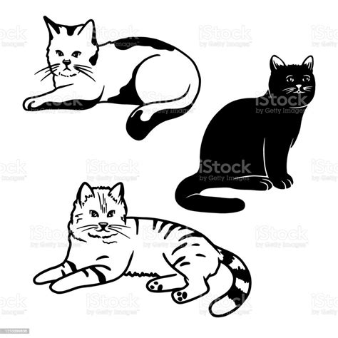 Set Of Different Cute Cats Isolated On A White Background Vector Illustration Stock Illustration
